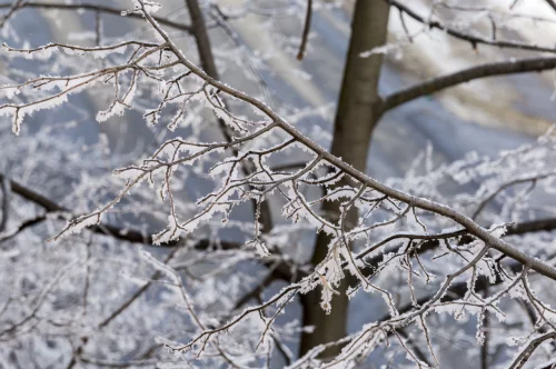 Modular Greenhouse Ventilation Retrofit Solutions for Cold-Climate Greenhouses