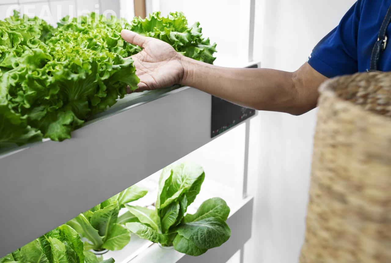 Vertical Farm Structural Load Calculation per Rack