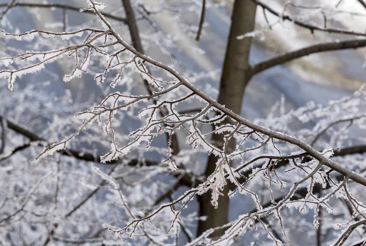 Modular Greenhouse Ventilation Retrofit Solutions for Cold-Climate Greenhouses