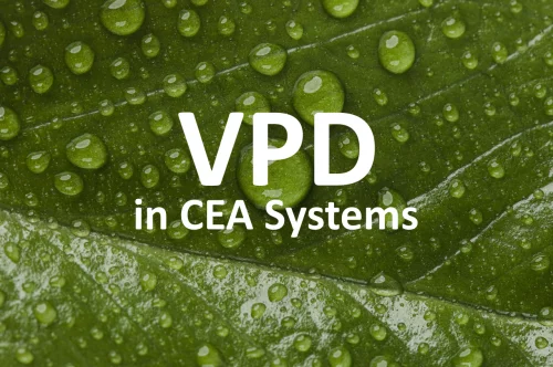 VPD in CEA Systems: Beyond Charts and Setpoints