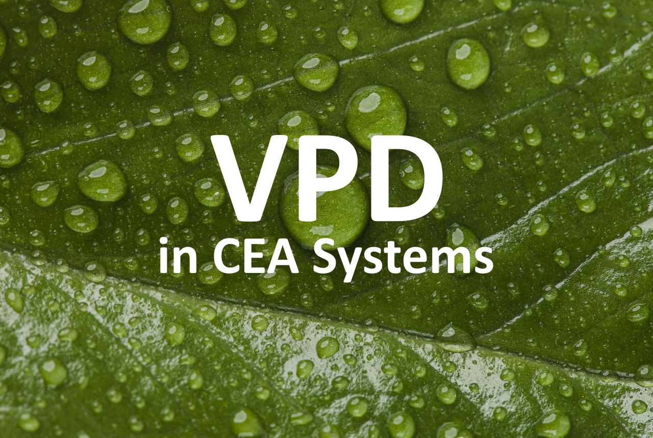 VPD in CEA Systems: Beyond Charts and Setpoints