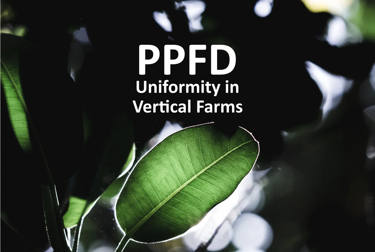PPFD Uniformity in Vertical Farms: Measurement, Metrics, Fixes