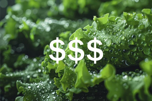 Hydroponic Farming Cost for Indoor and Container Farms