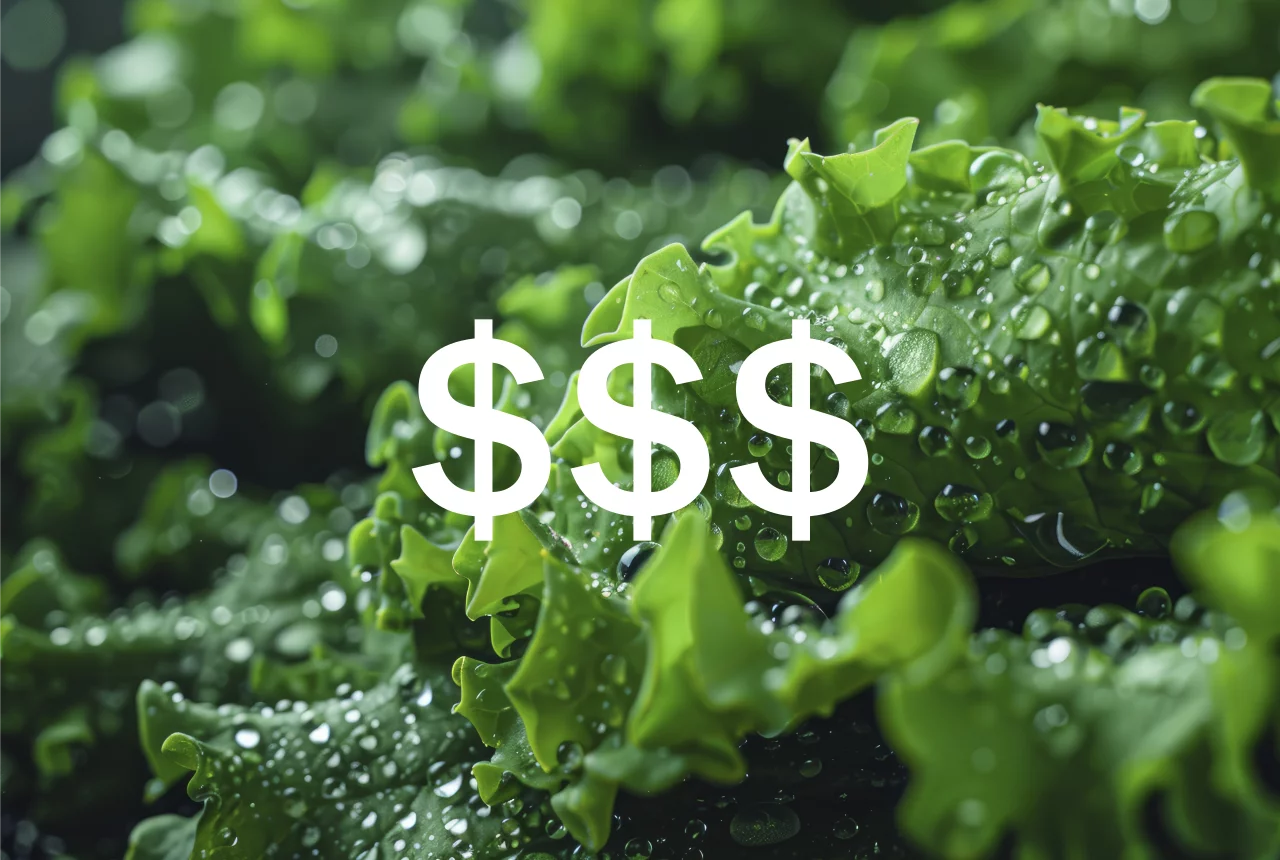 Hydroponic Farming Cost for Indoor and Container Farms