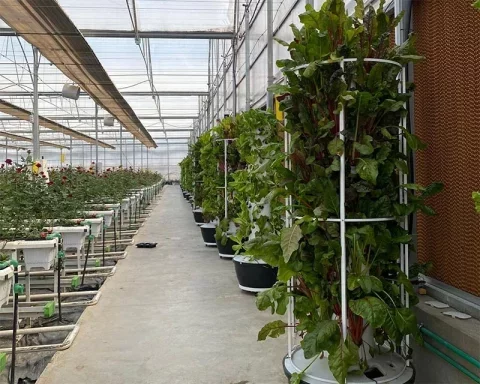 LYINE 6P 100L Vertical Hydroponic Tower System 6