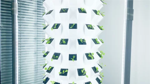 LYINE 12P Vertical Hydroponic Tower System (180–240 Plants) 5