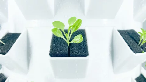 LYINE 12P Vertical Hydroponic Tower System (180–240 Plants)