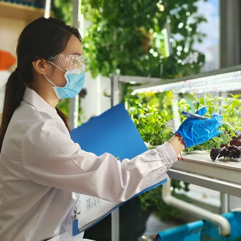 LYINE Vertical NFT Hydroponic Farming System 3