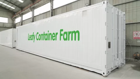 LYINE Leafy Grow Container Farm 500kg/Week 3