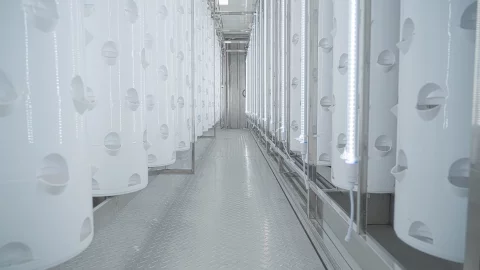 LYINE Rotating Tower Container Hydroponic Farm System 5