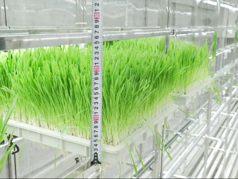 LYINE Hydroponic Fodder Container Farming System 9