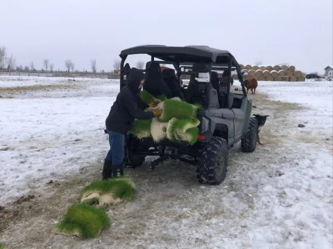 LYINE Hydroponic Fodder Container Farming System 8