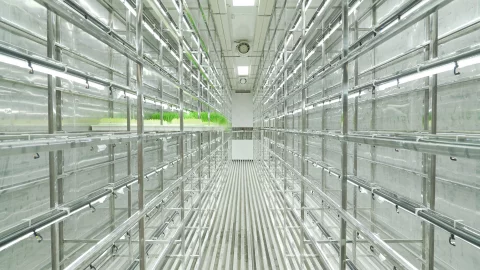 LYINE Hydroponic Fodder Container Farming System