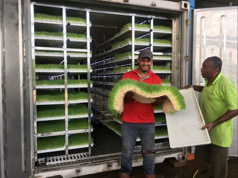 LYINE Hydroponic Fodder Container Farming System 3