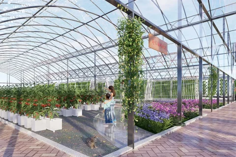 LYINE Indoor Farm Design & Construction Services 5