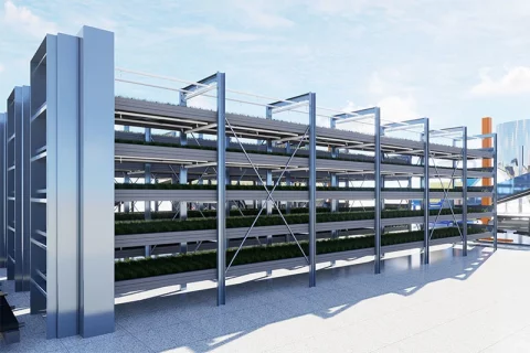 LYINE Indoor Farm Design & Construction Services