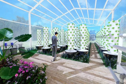 LYINE Indoor Farm Design & Construction Services 3