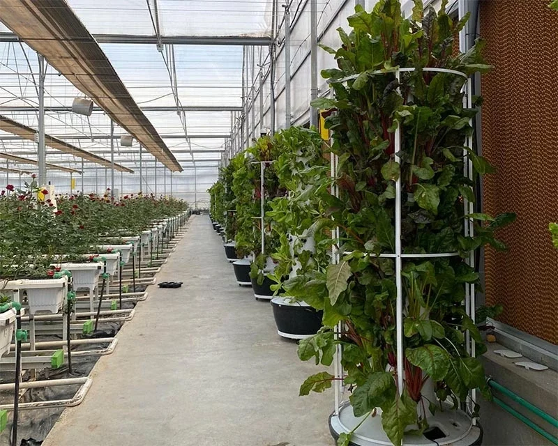 LYINE 6P 100L Vertical Hydroponic Tower System