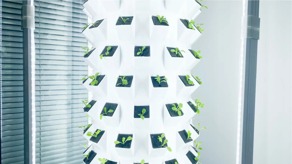 LYINE 12P Vertical Hydroponic Tower System (180–240 Plants)