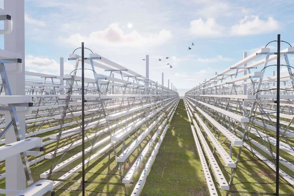 Complete Hydroponic Leafy Greens Cultivation System