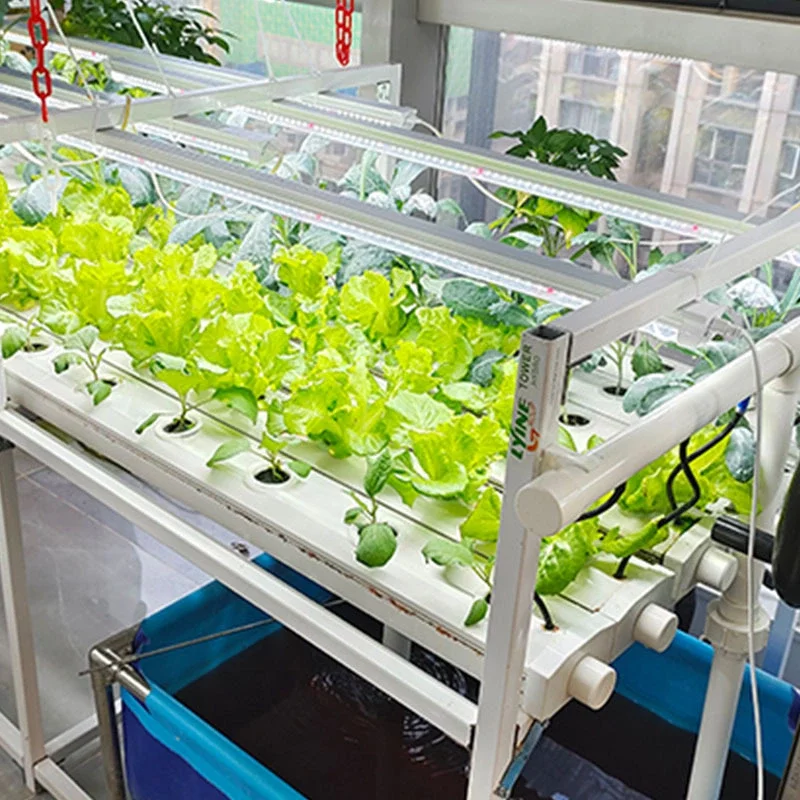 LYINE Vertical NFT Hydroponic Farming System
