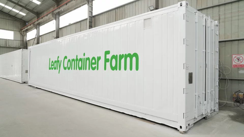 LYINE Leafy Grow Container Farm 500kg/Week