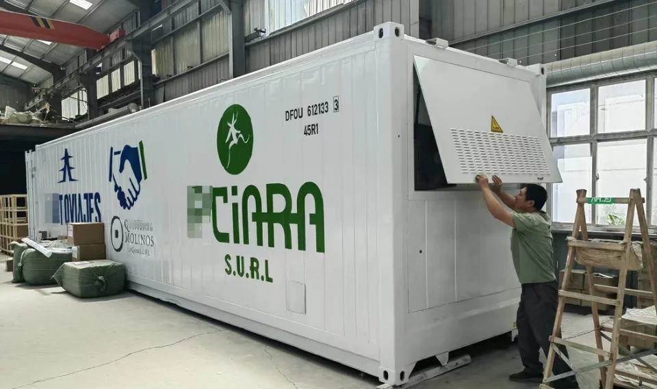 LYINE Leafy Grow Container Farm 500kg/Week