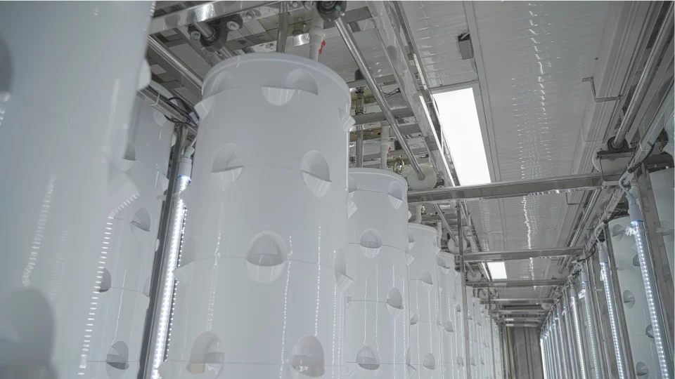 LYINE Rotating Tower Container Hydroponic Farm System