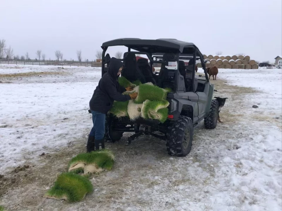 LYINE Hydroponic Fodder Container Farming System