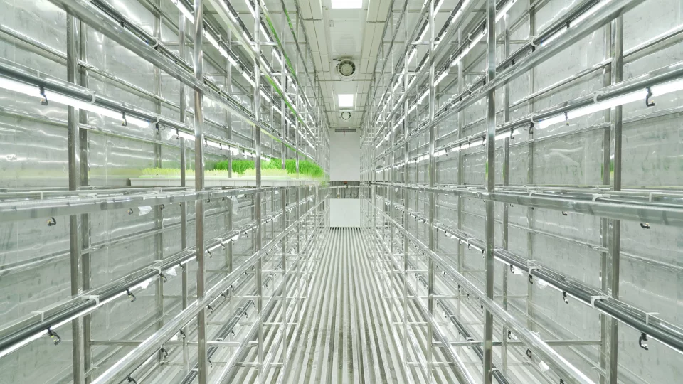 LYINE Hydroponic Fodder Container Farming System