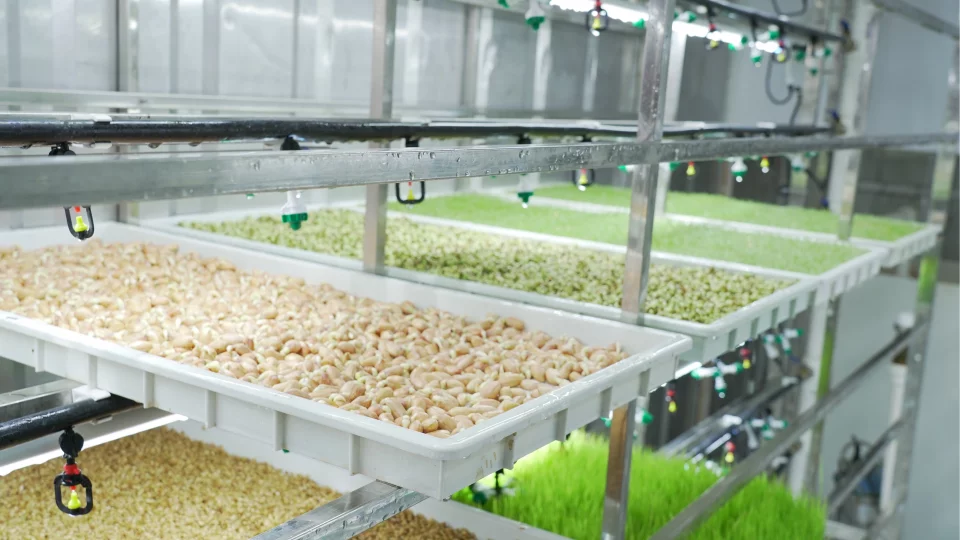 LYINE Hydroponic Fodder Container Farming System