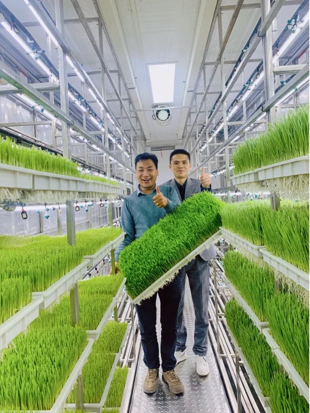 LYINE Hydroponic Fodder Container Farming System