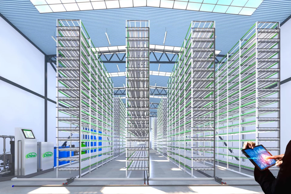 LYINE Indoor Farm Design & Construction Services
