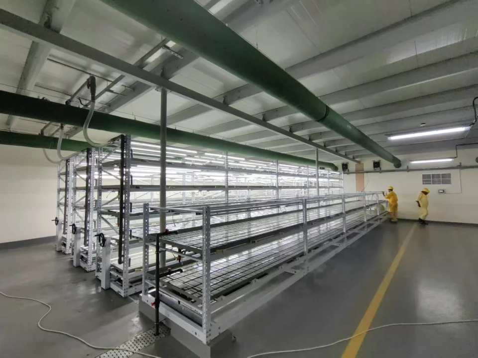 LYINE Indoor Farm Design & Construction Services