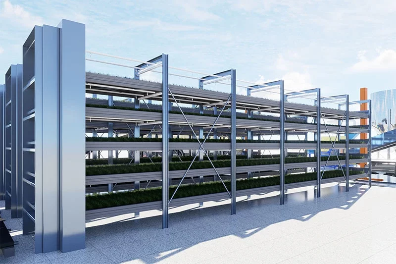 LYINE Indoor Farm Design & Construction Services