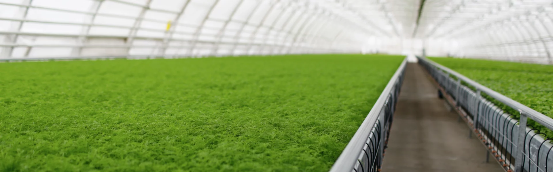 From Vision to the Right CEA Equipment